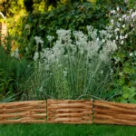 Rabatka z leszczyny łupanej - obrazek 17