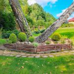 Rabatka leszczynowa - obrazek 2