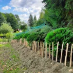 Płot sztachetowy łupany - obrazek 26