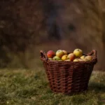 Kosz gospodarczy - obrazek 3