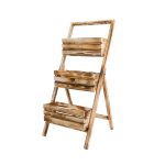 Kwietnik drabinkowy - obrazek 5