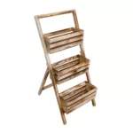 Kwietnik drabinkowy - obrazek 8