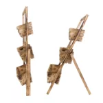 Kwietnik drabinkowy - obrazek 16