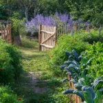 Furtka leszczynowa - obrazek 5