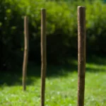 Słupek ogrodzeniowy leszczynowy - obrazek 7