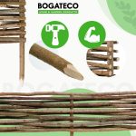 Rabatka leszczynowa - obrazek 5