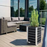 Donica tarasowa średnia - obrazek 15