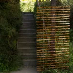 Drabinka do pnączy - obrazek 4