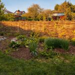 Panel leszczynowy - obrazek 4