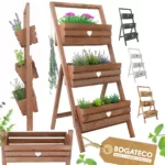 Kwietnik drabinkowy - obrazek 4