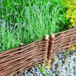 Płotek wiklinowy - obrazek 12