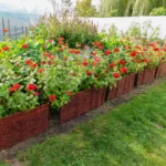 Płotek wiklinowy - obrazek 16