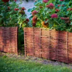 Płotek wiklinowy - obrazek 17