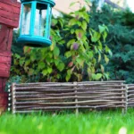 Rabatka leszczynowa - obrazek 6