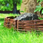 Płotek wiklinowy - obrazek 11