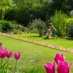 Rollborder drewniany - obrazek 12