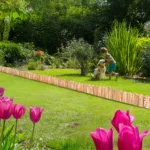 Rollborder drewniany - obrazek 6