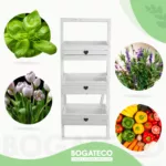 Kwietnik drabinkowy - obrazek 14