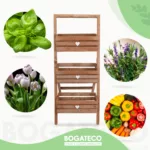 Kwietnik drabinkowy - obrazek 13