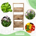 Kwietnik drabinkowy - obrazek 9