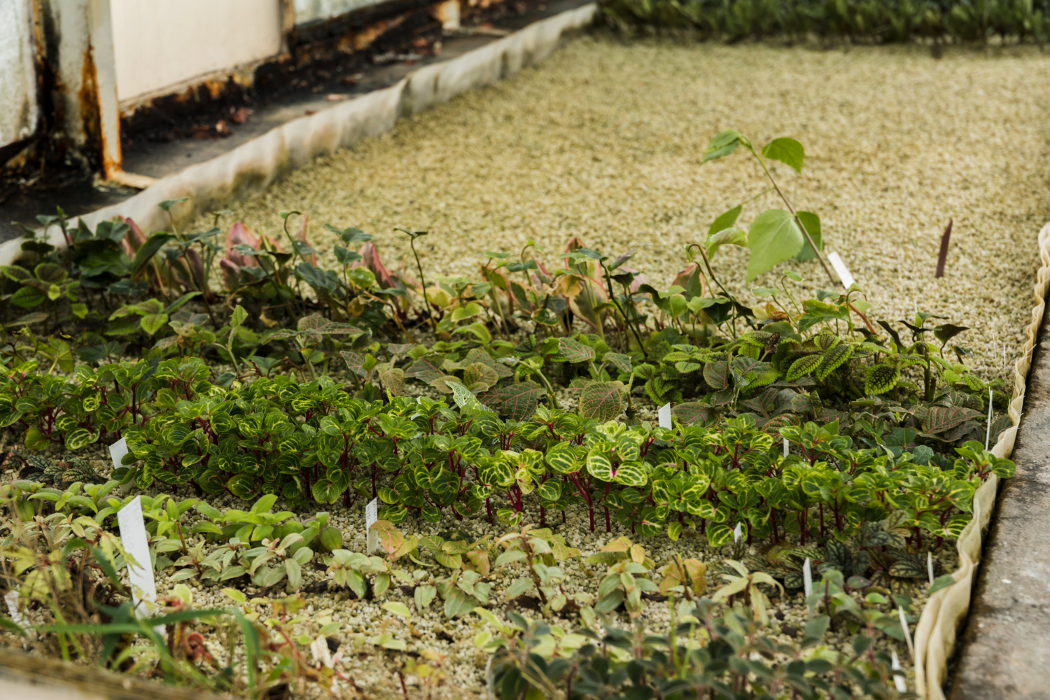 Jak zamontowac system odprowadzania wody deszczowej