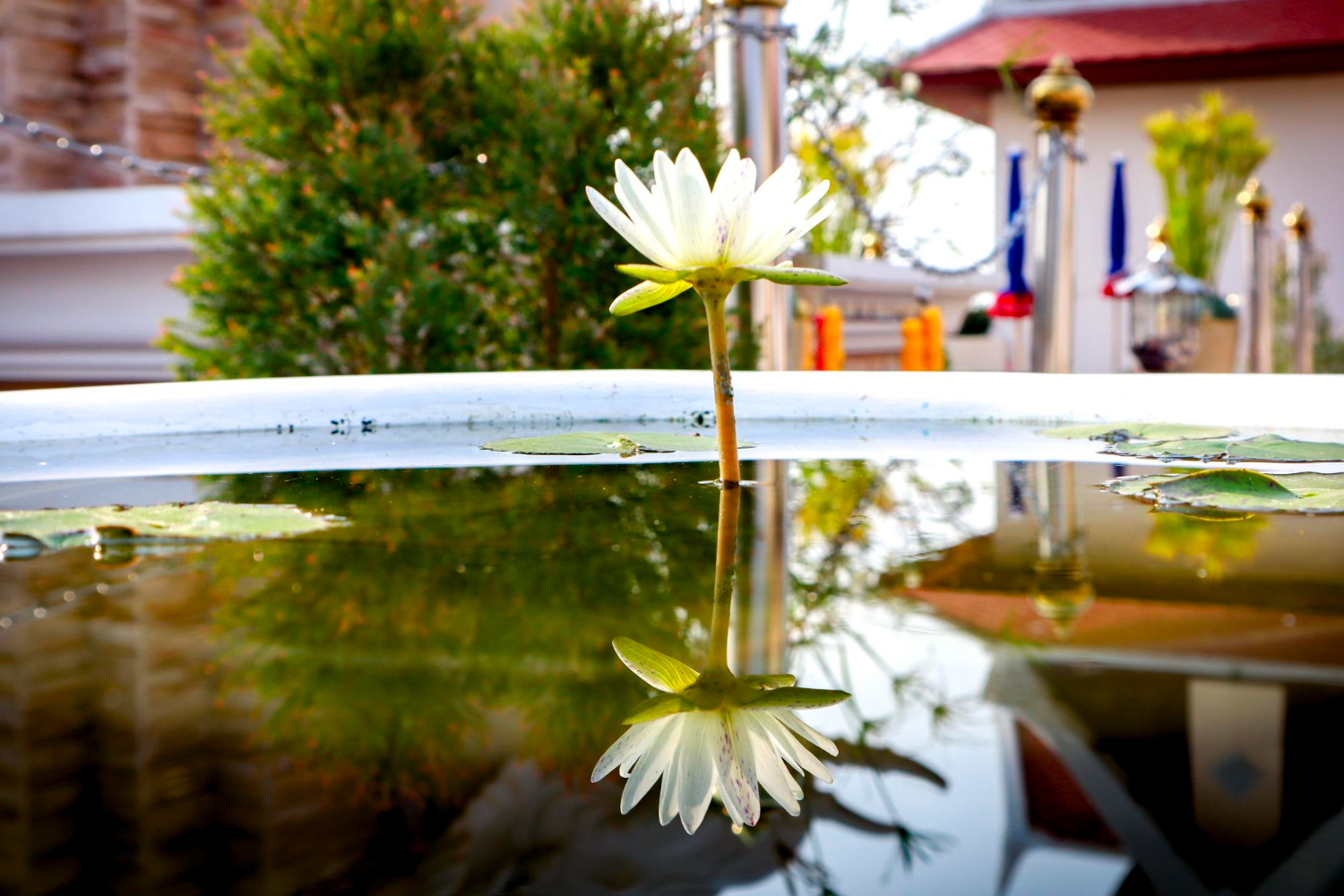 Jakie sa najczestsze bledy przy budowie oczka wodnego