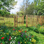 Furtka leszczynowa - obrazek 4