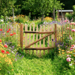 Furtka leszczynowa - obrazek 2